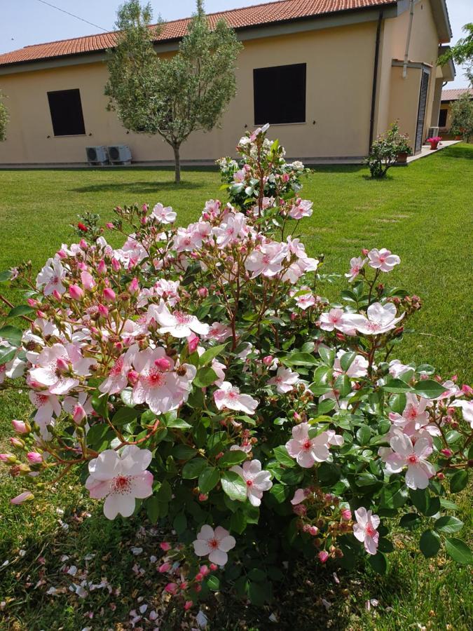 Agriturismo Severini Fonteblanda Zewnętrze zdjęcie
