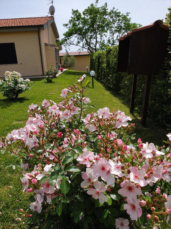 Agriturismo Severini Fonteblanda Zewnętrze zdjęcie